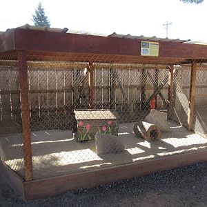 West Coast Game Park Safari (Oregon) - Striped Skunk Exhibit