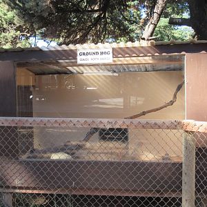 West Coast Game Park Safari (Oregon) - Groundhog Exhibit