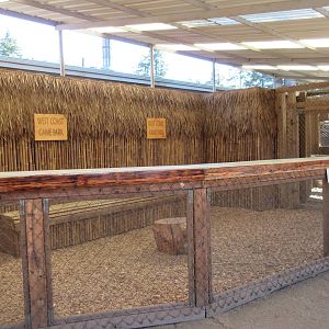 West Coast Game Park Safari (Oregon) - Animal Petting Area