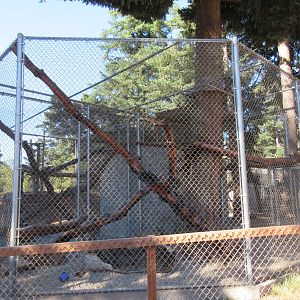 West Coast Game Park Safari (Oregon) - Bobcat Exhibit