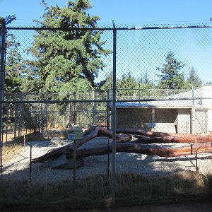 West Coast Game Park Safari (Oregon) - African Lion Exhibit #2