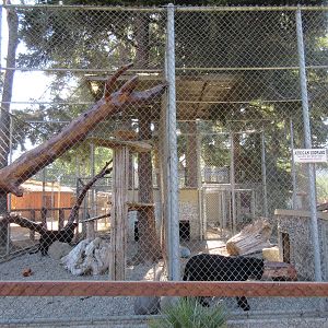West Coast Game Park Safari (Oregon) - Leopard Exhibit #2