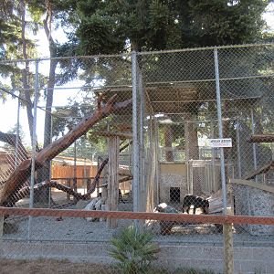West Coast Game Park Safari (Oregon) - Leopard Exhibit #2 and #3