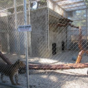 West Coast Game Park Safari (Oregon) - Leopard Exhibit #2