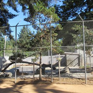 West Coast Game Park Safari (Oregon) - Bengal Tiger Exhibit