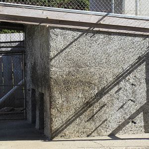 West Coast Game Park Safari (Oregon) - Tiger Den (a cement block)