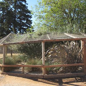 West Coast Game Park Safari (Oregon) - African Spurred Tortoise Exhibit
