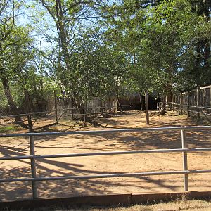 West Coast Game Park Safari (Oregon) - Reindeer Exhibit