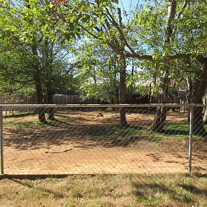 West Coast Game Park Safari (Oregon) - Blackbuck Exhibit
