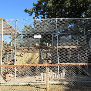 West Coast Game Park Safari (Oregon) - Coati Exhibit