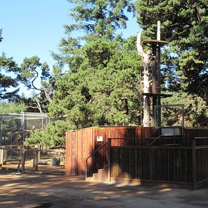 West Coast Game Park Safari (Oregon) - Binturong Exhibit
