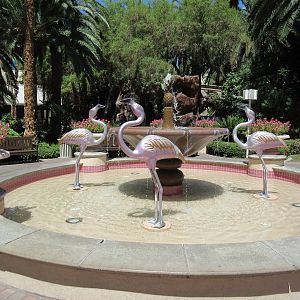 Flamingo Hotel (Nevada) - Wildlife Habitat