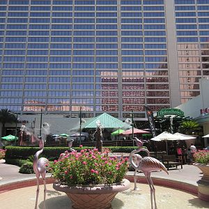 Flamingo Hotel (Nevada) - Wildlife Habitat