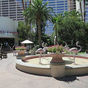 Flamingo Hotel (Nevada) - Wildlife Habitat