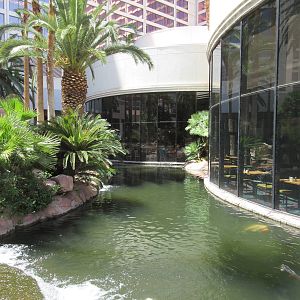 Flamingo Hotel (Nevada) - Wildlife Habitat