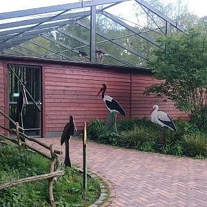 Stor-aviary