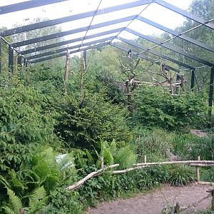 Inside stork-aviary
