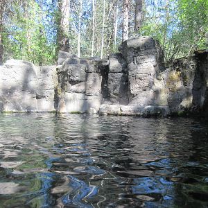 North American River Otter Exhibit