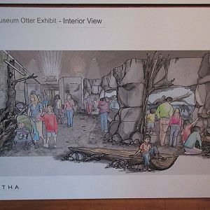 North American River Otter Exhibit - Future Plans