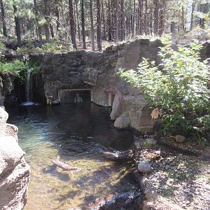 North American River Otter Exhibit