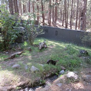 North American River Otter Exhibit