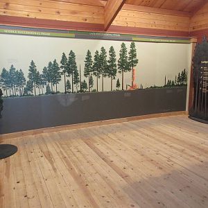 Miller Family Ranch - Changing Forest Building