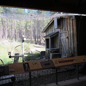 Birds of Prey Center - Barn Owl Exhibit