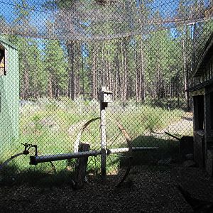 Birds of Prey Center - Barn Owl Exhibit