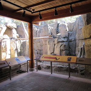 Birds of Prey Center - Golden Eagle Exhibit