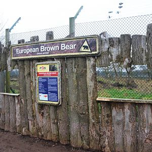 Bear Viewing at the Scottish Deer Centre, 06/02/16