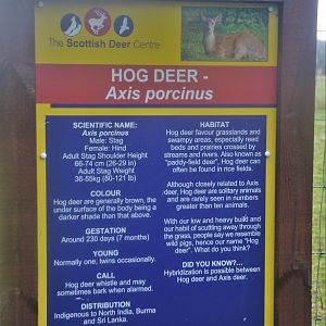 Signage Example at the Scottish Deer Centre, 06/02/16