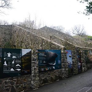Former Cat Row at Edinburgh, 06/02/16