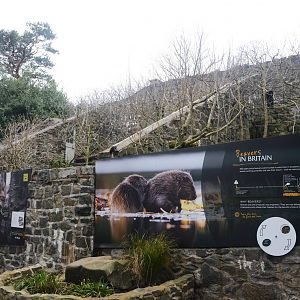 Former Cat Row at Edinburgh, 06/02/16