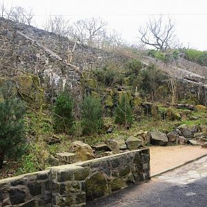 Former Cat Row at Edinburgh, 06/02/16