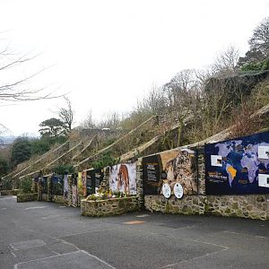 Former Cat Row at Edinburgh, 06/02/16