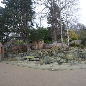 Meerkat Enclosure at Edinburgh, 06/02/16