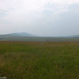 View - Maasai Mara