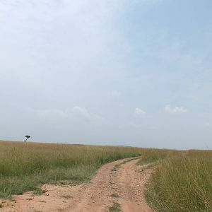 View - Maasai Mara