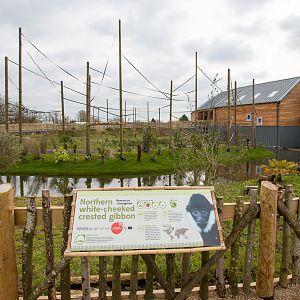 Gibbon Forest : Twycross : 26 Feb 2016