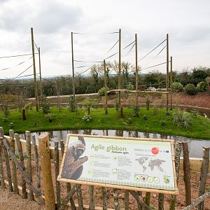 Gibbon Forest : Twycross : 26 Feb 2016