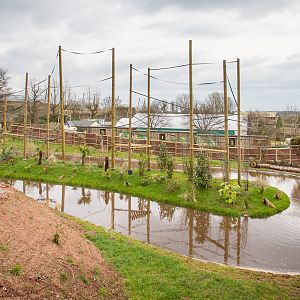 Gibbon Forest : Twycross : 26 Feb 2016