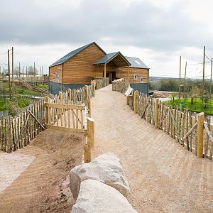 Gibbon Forest : Twycross : 26 Feb 2016