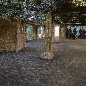 Gibbon Forest (interior visitor space) : Twycross : 26 Feb 2016