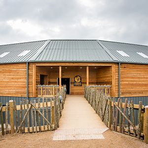 Gibbon Forest : Twycross : 26 Feb 2016