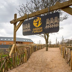 Gibbon Forest : Twycross : 26 Feb 2016