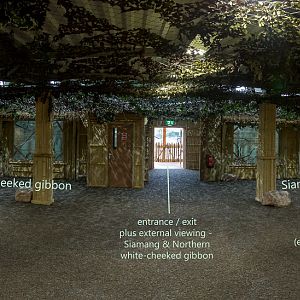 Gibbon Forest (interior visitor space) : Twycross : 26 Feb 2016