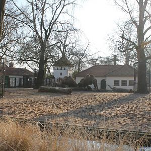 First enclosure at Artis
