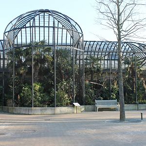Outside aviaries Bird-house