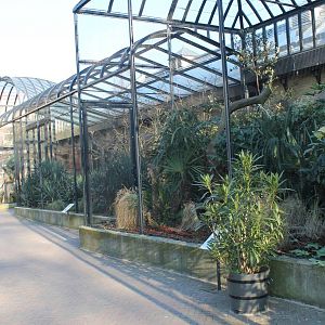 Outside aviaries Weavers and Hornbills