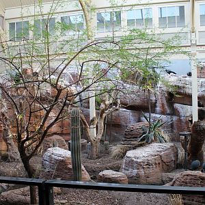 Desert-section Bird-house